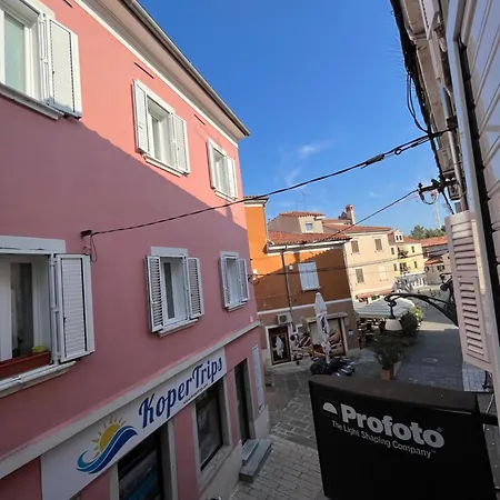 Apartment Collie's Place