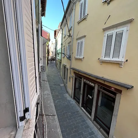 Collie's Place * Koper