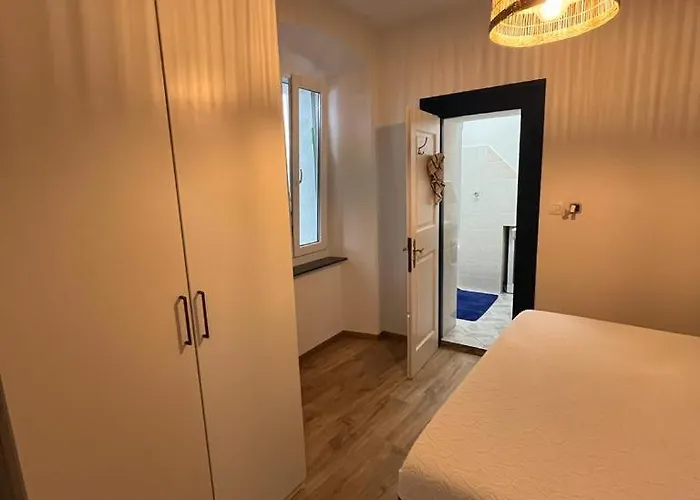 Collie's Place 科佩尔