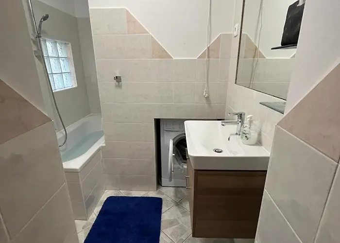 Apartment Collie's Place