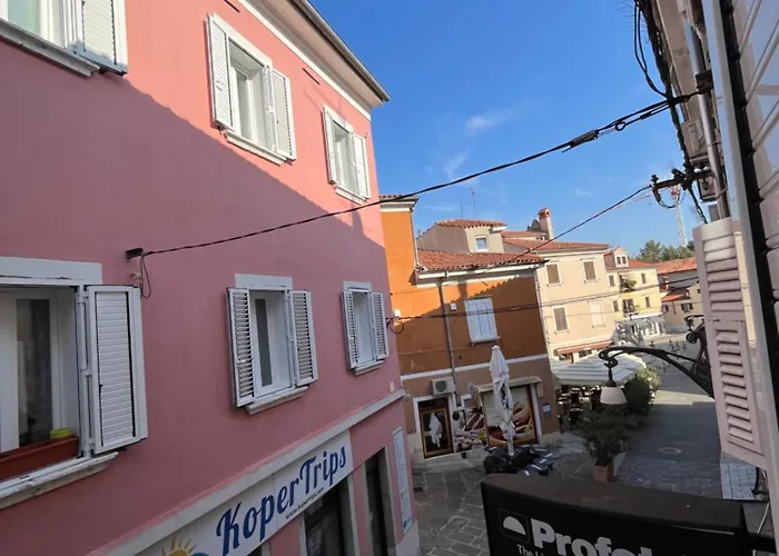 公寓 Collie's Place