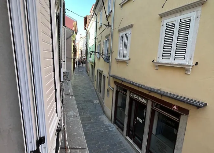 Collie's Place * 科佩尔